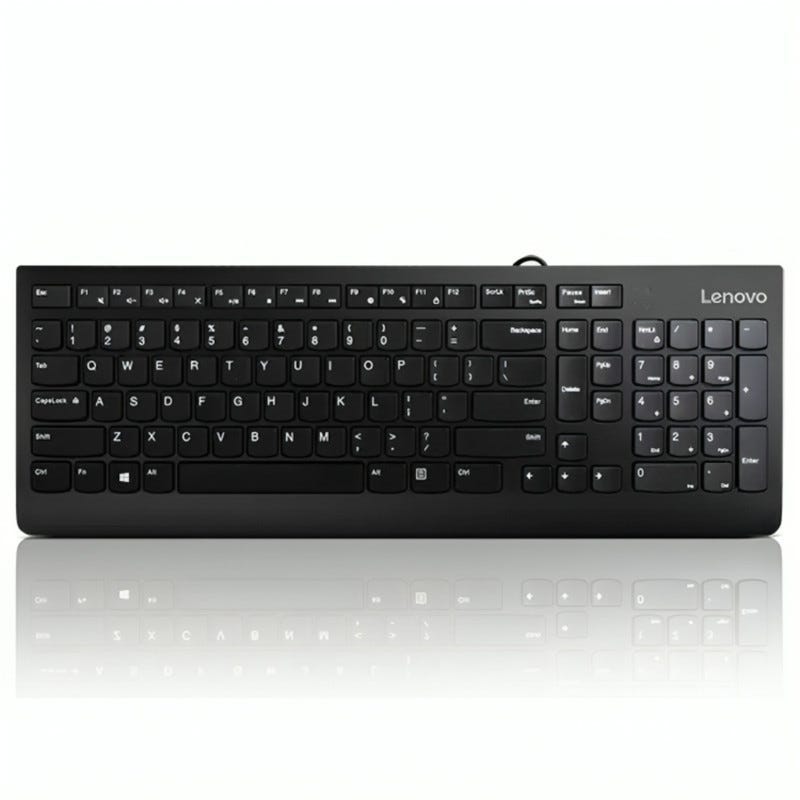 Lenovo 300 Keyboard Wired -USB- Arabic - Black-GX30M39656